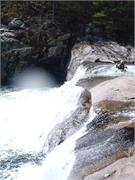 Tellico 12